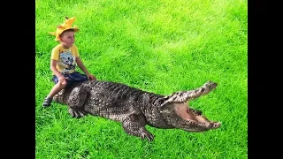 VLOG Крокодиловая ферма шоу крокодилов Крокодил челлендж The Million Years Stone Park Crocodile Farm