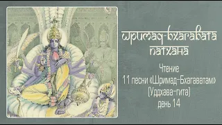 2022-04-18 — Уддхава-гита, день 14. ШБ 11.8.18-20 (Мадана-мохан дас)