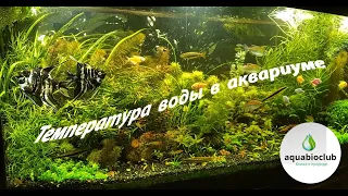 Температура воды в аквариуме. Понижаем, повышаем, а надо ли?