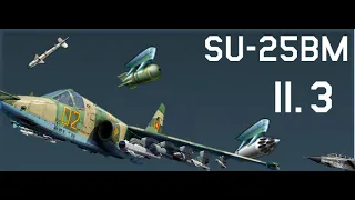 Su-25BM Stock Experience (feat. Tornado IDS)
