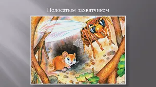 Мышонок и подснежник