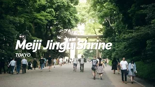 Meiji Jingu Shrine,Tokyo | Japan Travel Guide