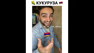 Слово кукуруза на разных языках и на армянском