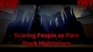Scaring People as Pure Black Nightwings