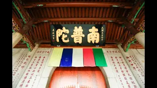 A Glimpse of Nanputuo Temple