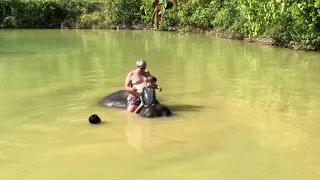 Тайланд купание со слоном