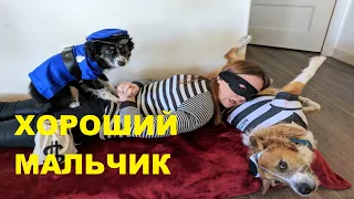 ЗАСМЕЯЛСЯ - ПОДПИСАЛСЯ! УГАРНЫЕ ВИДЕО | ЛУЧШИЕ ПРИКОЛЫ  МАРТА  2023 | 567 СЕКУНД СМЕХА