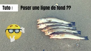 Pose d'une ligne de fond sur la plage, est ce qu'il y aura du poissons ??