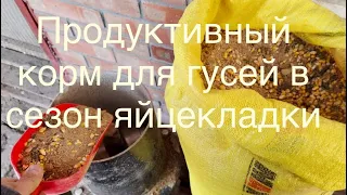 Продуктивный корм для Гусей в сезон Яйцекладки и подращивания Гусят/Без применения комбикормов