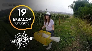 Заробітчани - Эквадор - Выпуск 19 - 10.10.2018