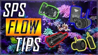 Beginner SPS Reef Tank Flow | Acropora Flow Tips