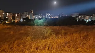 En Çok Merak Edilen Ledlenser El Feneri. Ledlenser MT14 El Feneri İncelemesi ve Saha Kıyaslaması.