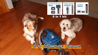 Pet Grooming Vacuum 6 in 1 Dog Grooming Kit Grandtail