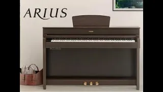 The Yamaha Arius YDP-184 Digital Piano