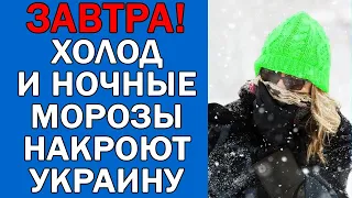 ПОГОДА НА 1 ДЕКАБРЯ : ПОГОДА НА ЗАВТРА