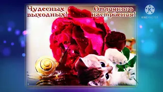 Всем прекрасных выходных 🌹🌹🌹!!! Замечательная открытка!!!