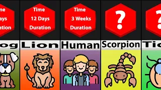 Comparison: How Long Animals Can Survive