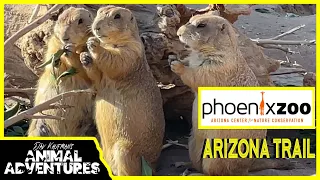 Tour of the PHOENIX ZOO! Pt. 2 Arizona Trail!!