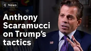 Anthony Scaramucci interview on Trump, immigration and the midterm elections