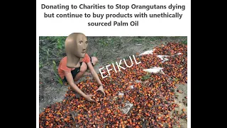 The Palm Oil Problem (Shampoo)