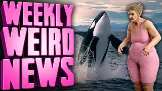 Humans Stand No Chance Against The Orcas - Weekly Weird News