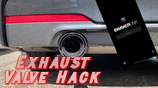 Can BimmerLink make your Exhaust LOUD!? | Exhaust Valve hack