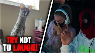 TRY NOT TO LAUGH CHALLENGE 4.0 mit KNATTERLIE und OGI 😂 (mit BESTRAFUNG) | Knattercrew - Highlights