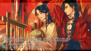 Tgcf and mdzs reactions to TGCF (2/2)