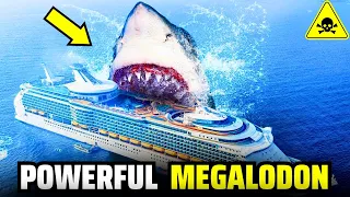 Top 10 Interesting Facts about the MEGALODON