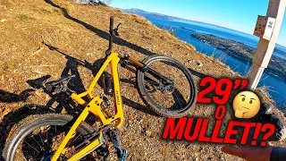 29" o Mullet!?!? Scopriamolo!  TREK FUEL EX 2023