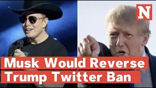 Elon Musk Says He Would Reverse Donald Trump’s Twitter Ban: Internet Reacts