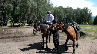 GLOBALink | Enjoy horse riding at Kanas scenic area in China's Xinjiang