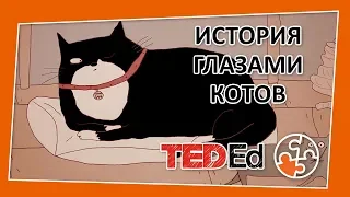 🔶 История мира по версии кошек [TED-Ed на русском]