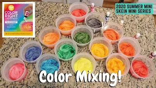 Dyeing Yarn Fade Sets by Mixing Wilton Color Right Food Coloring (2020 SMSMS Night 4)