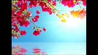 Ocean of Peace - Guided Meditation