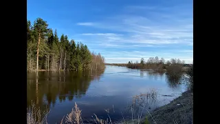 Быстрая сырная пицца на сковороде! Мощный разлив реки! Жизнь в деревне! #пицца #река #разливреки