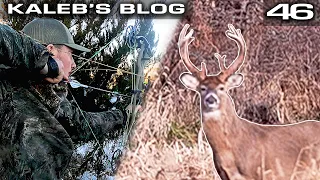 Public Land Ground Hunt, Shea Up To Bat | Kaleb's Blog