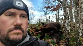 Der längste Lost Place Deutschlands? Rund um Waldshut Tiengen auch mal genauer geschaut.