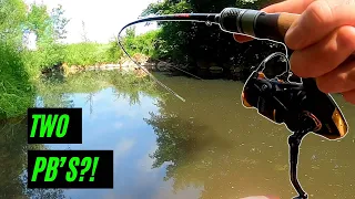 Lure fishing for MASSIVE Chub and Trout