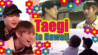 Taegi: Romance in Hawaii