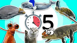 Curiosidades que NO SABÍAS hace 5 minutos!! ⏰🤯 Curiosos Por el Mundo 🌏 (16)