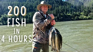 Non-Stop Action, Columbia River Shad Fishing {Catch Clean Cook}