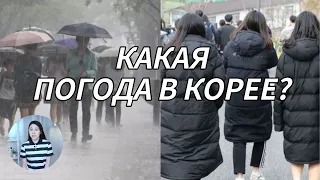 КАКАЯ ПОГОДА В КОРЕЕ?