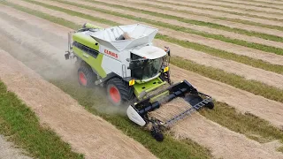 New Claas Lexion 8700 Harvesting Cabbage and Grass Seed