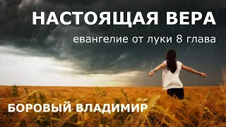 НАСТОЯЩАЯ ВЕРА | ев. от Луки 8 глава | Боровый Владимир