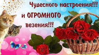 ХОРОШЕГО НАСТРОЕНИЯ😉 ЛУЧШАЯ МУЗЫКАЛЬНАЯ ОТКРЫТКА😇 ОТЛИЧНОГО ДНЯ😎 УЛЫБНИСЬ😊 ВЕДЬ ТЕБЯ КТО-ТО ЛЮБИТ💓