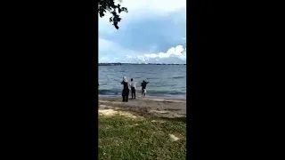 Bedok Jetty, huge eagle ray brought from jetty to the beach, all arms helping