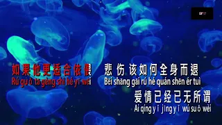 karaoke 拥抱你离去 Yong Bao Ni Li Qu remix