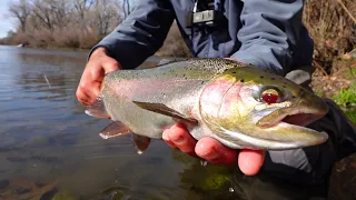 Bobber Fishing for Clear Water Steelhead (Satisfying Ending)