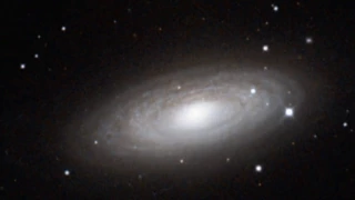 Spiral Galaxy Zoom